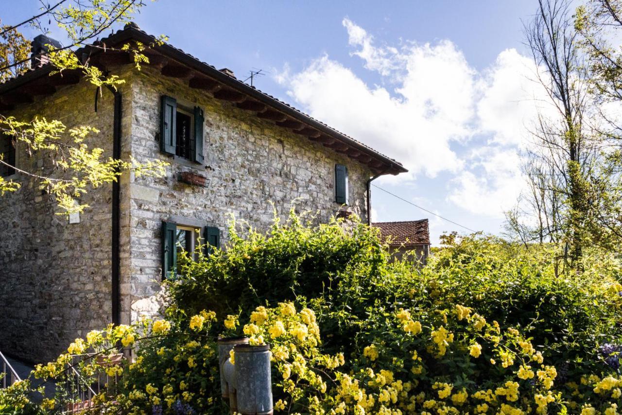 La Cavanella B&B Camugnano Dış mekan fotoğraf
