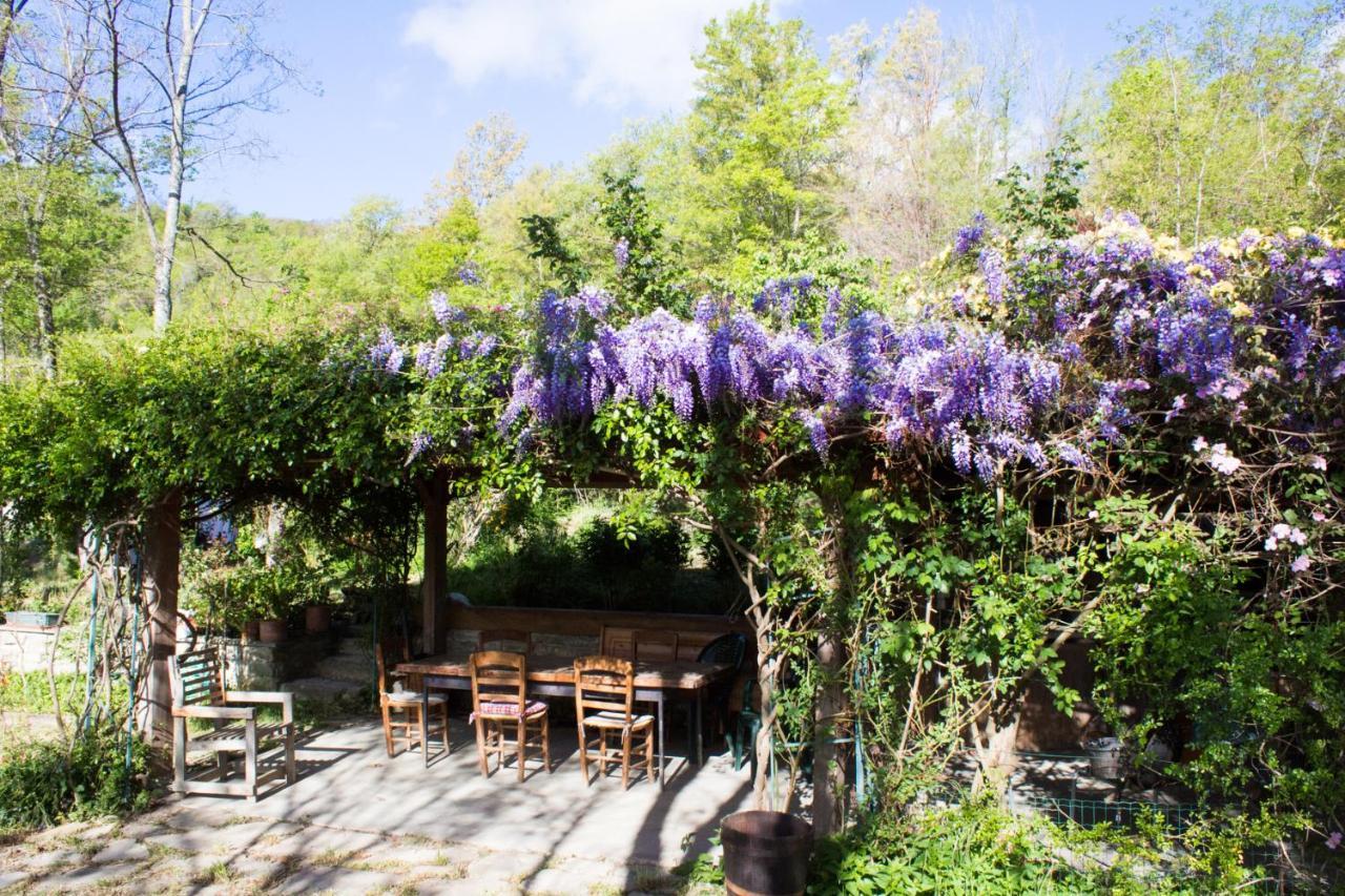 La Cavanella B&B Camugnano Dış mekan fotoğraf