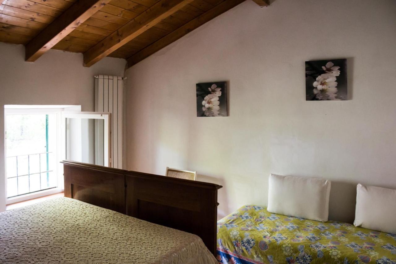 La Cavanella B&B Camugnano Dış mekan fotoğraf
